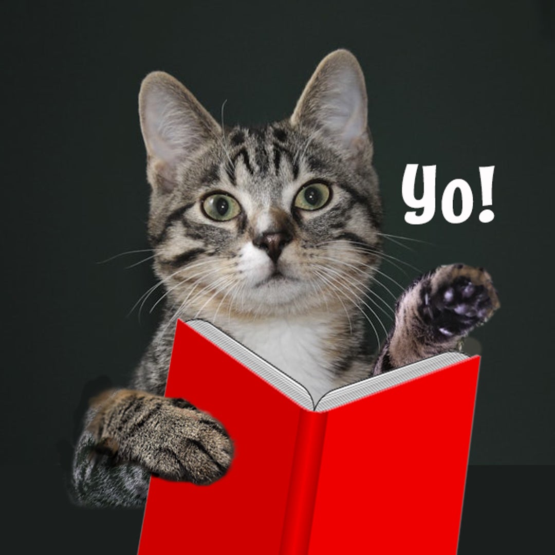 Cat Tales