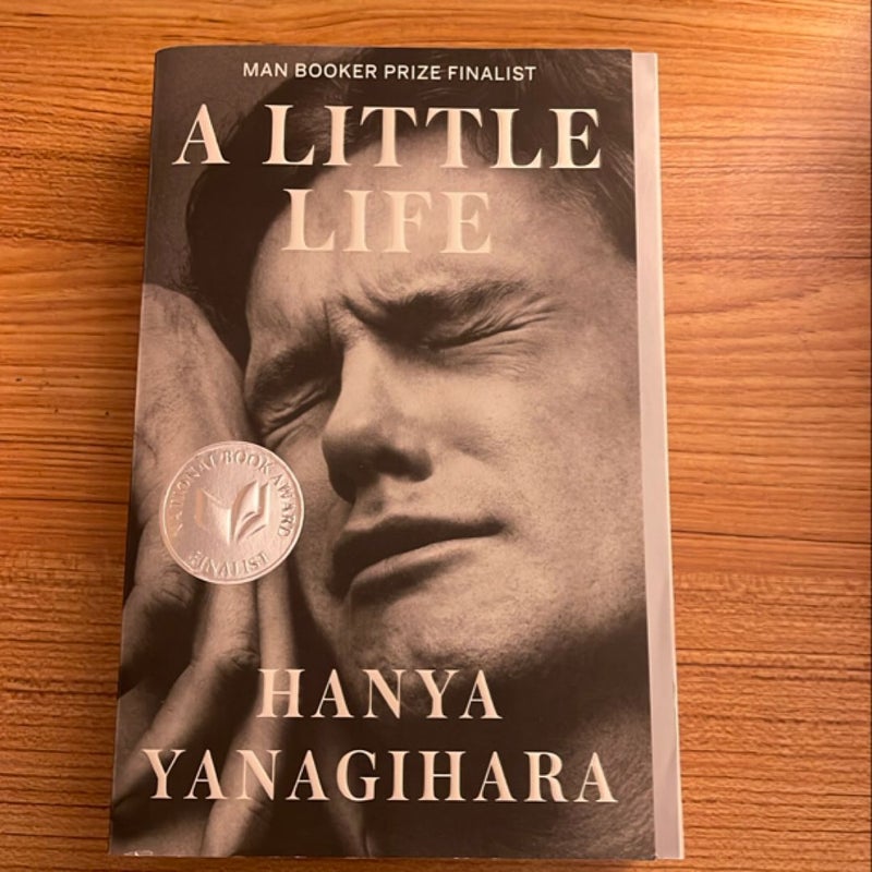 A Little Life