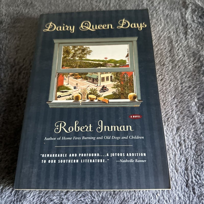 (Out Of Print Canadian Novel) Dairy Queen Days
