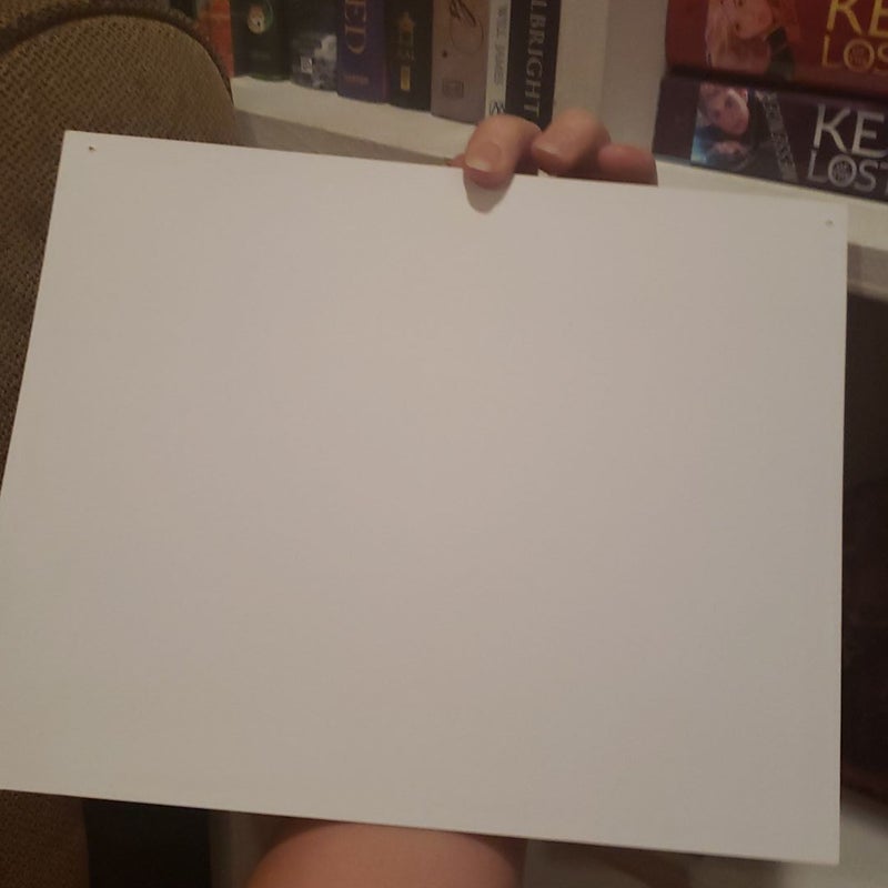 Keeper of the Lost Cities map art print from the pre-order giveaway