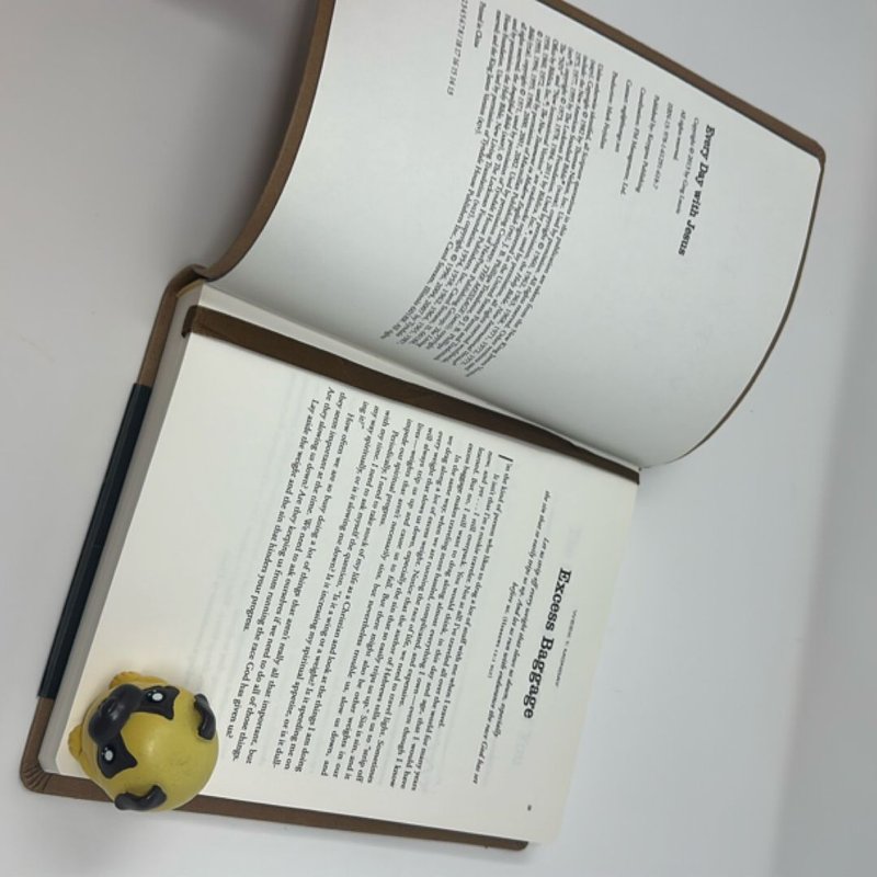 Every Day with Jesus