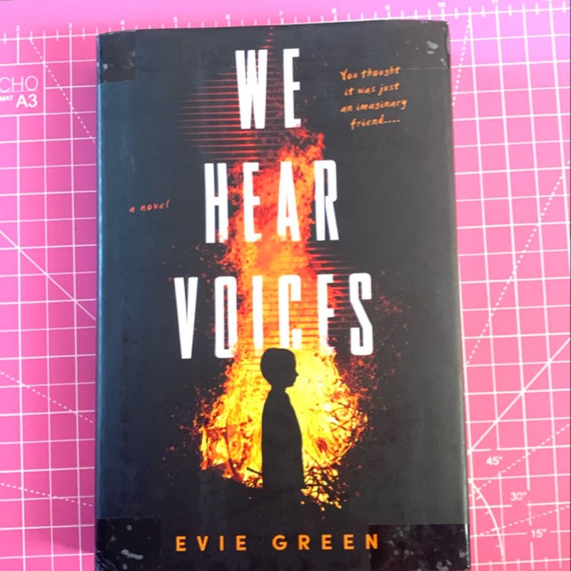 We Hear Voices