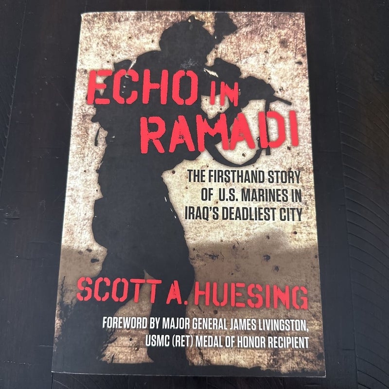 Echo in Ramadi