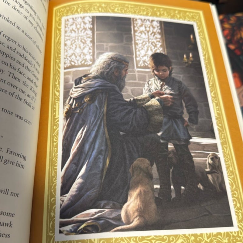 Assassin's Apprentice (the Illustrated Edition)