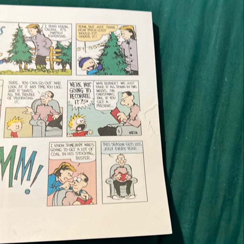 The Calvin and Hobbes Tenth Anniversary Book