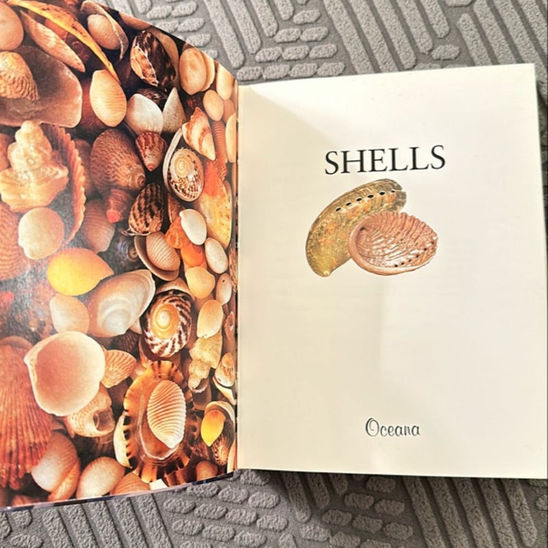 Shells