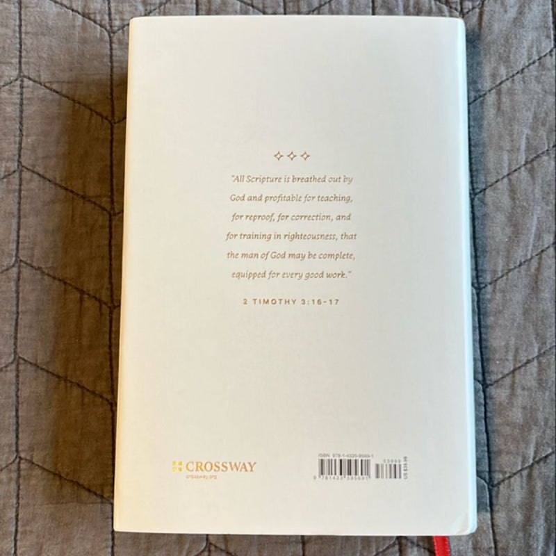 ESV Everyday Gospel Bible