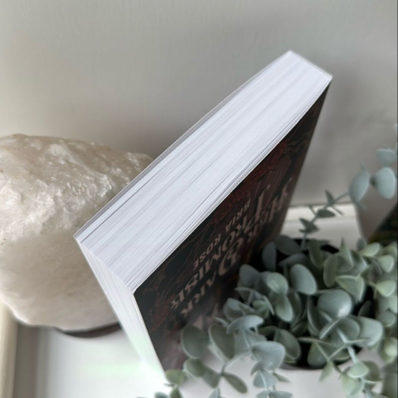 Her Dark Promise *Probably Smut Signed Special Edition*