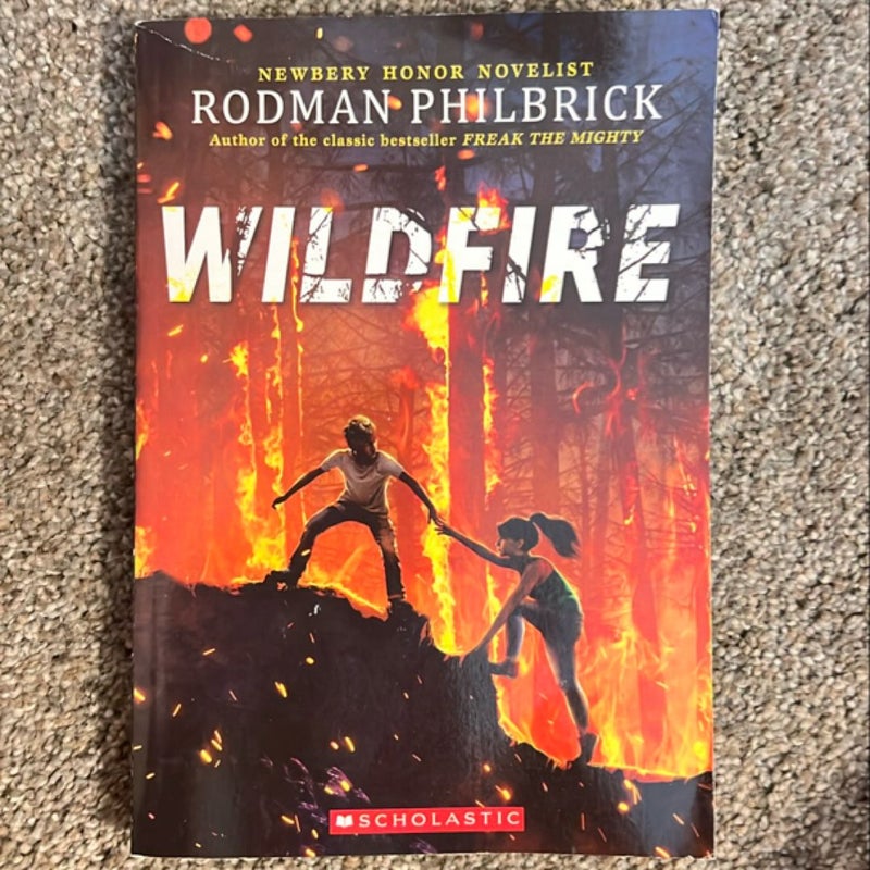 Wildfire