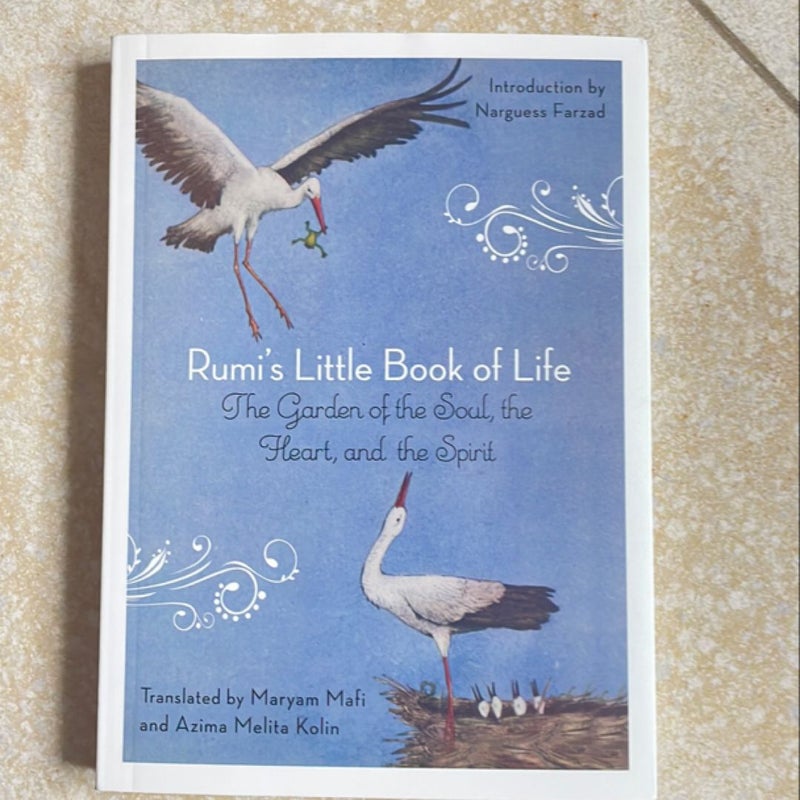 Rumi's Little Book of Life