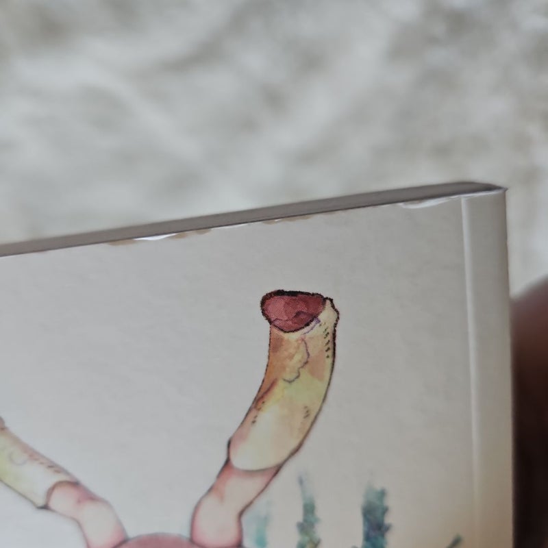 Children of the Whales, Vol. 13