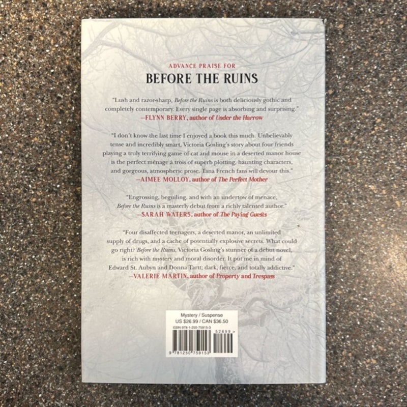 Before the Ruins