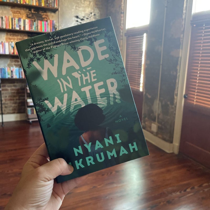Wade in the Water