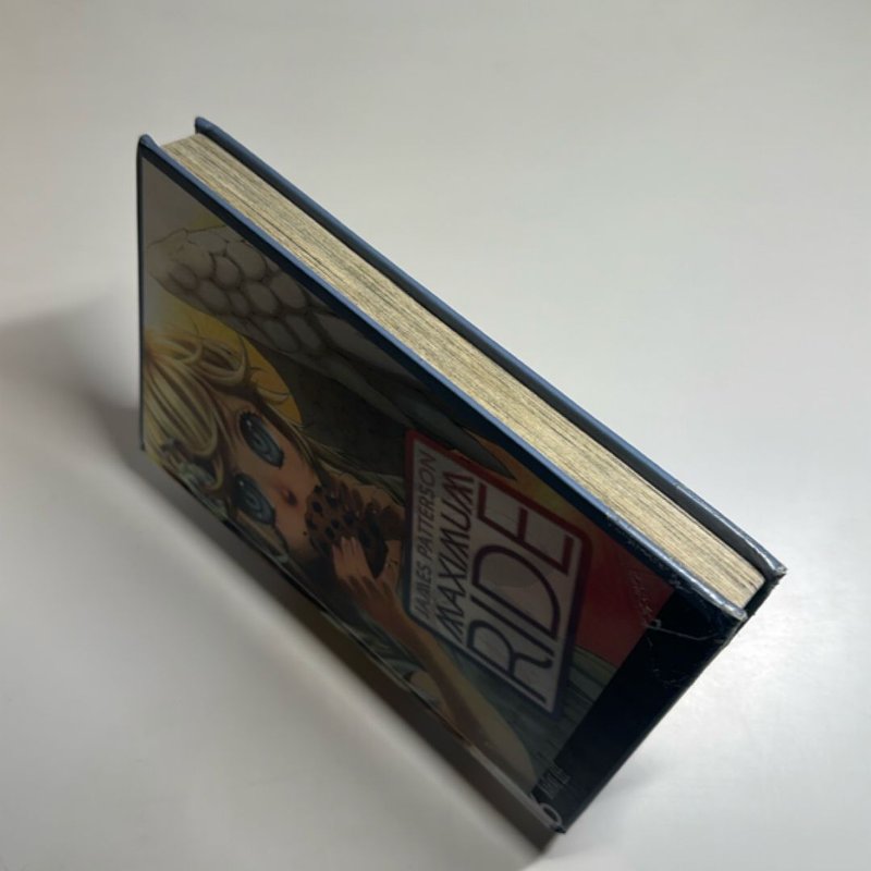 Maximum Ride: the Manga, Vol. 6