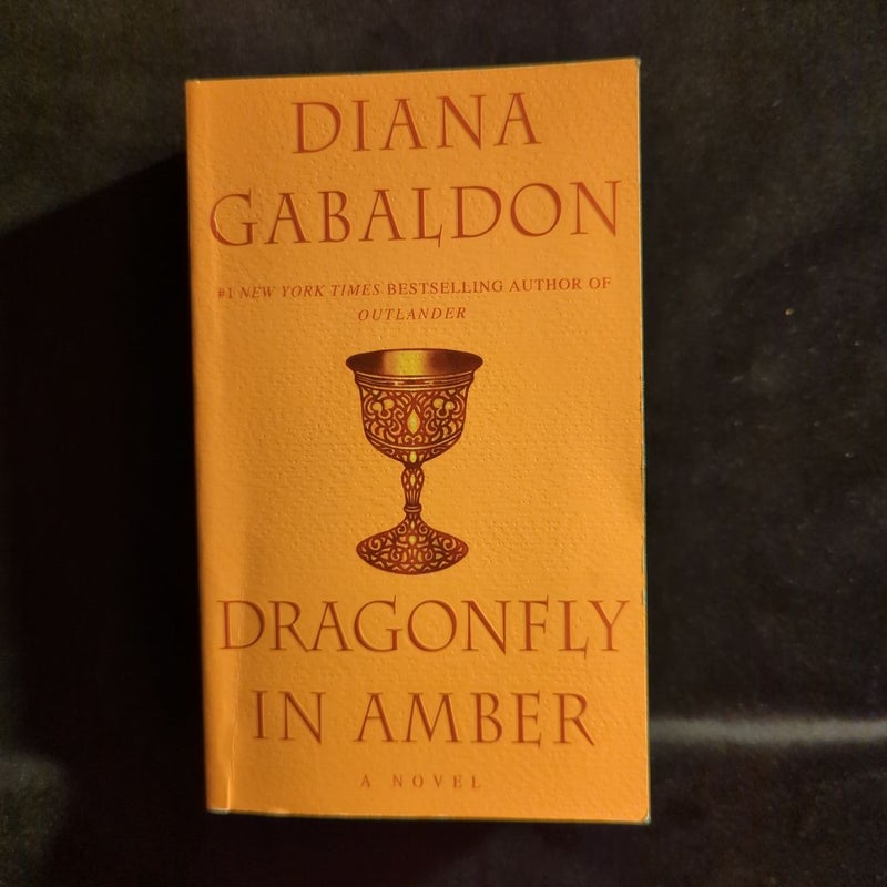 Dragonfly in Amber