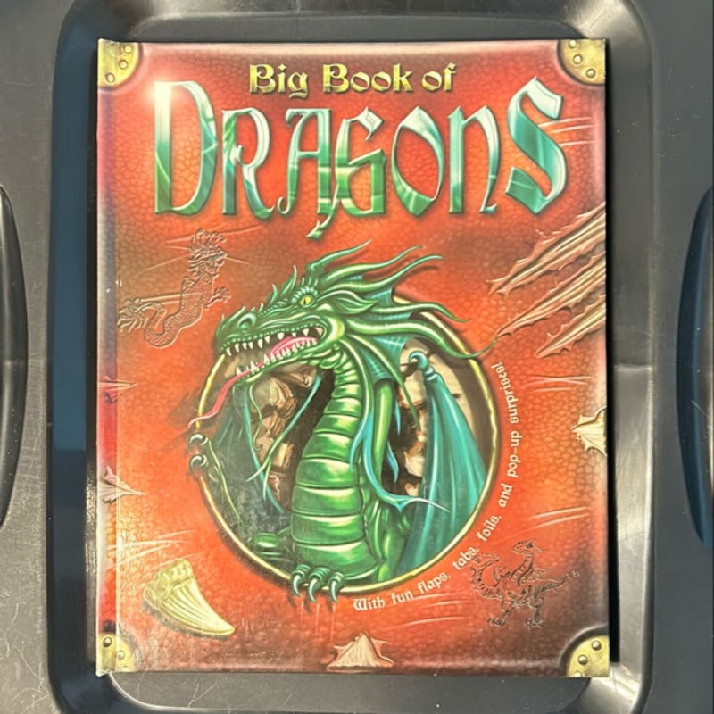 Big Book Of Dragons