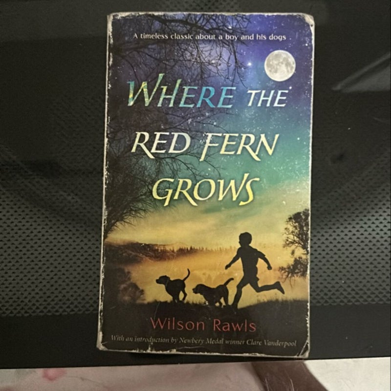 Where the Red Fern Grows