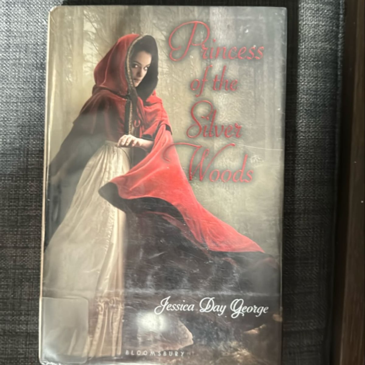 Princess of the Silver Woods by Jessica Day