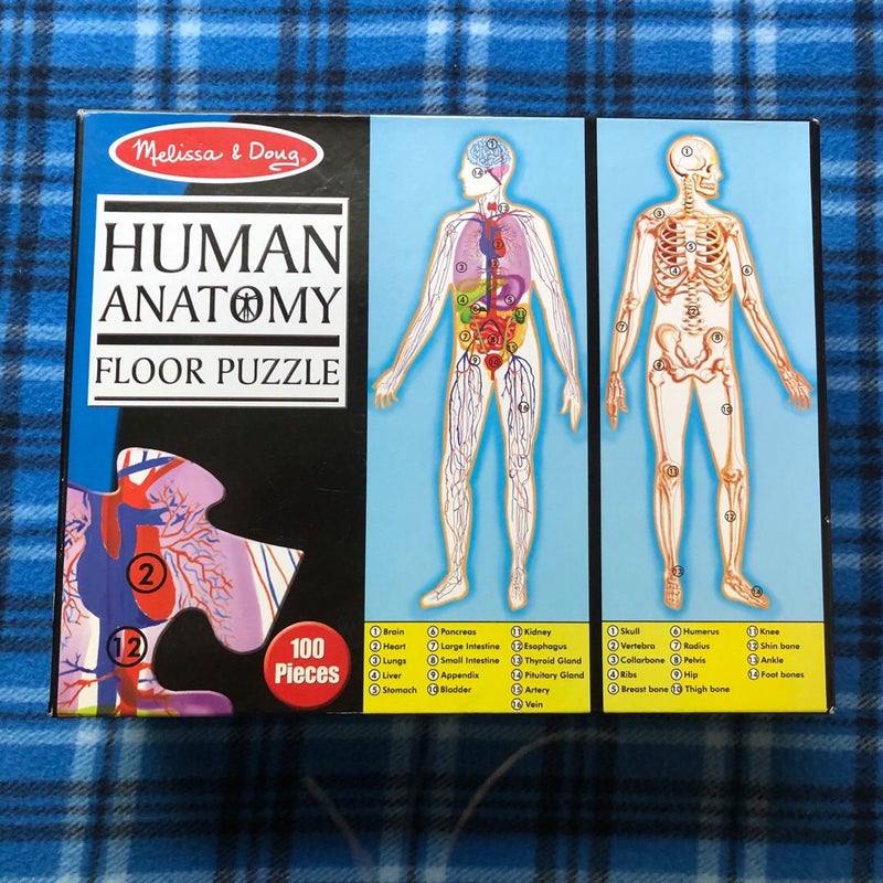 Human Anatomy Floor Puzzle