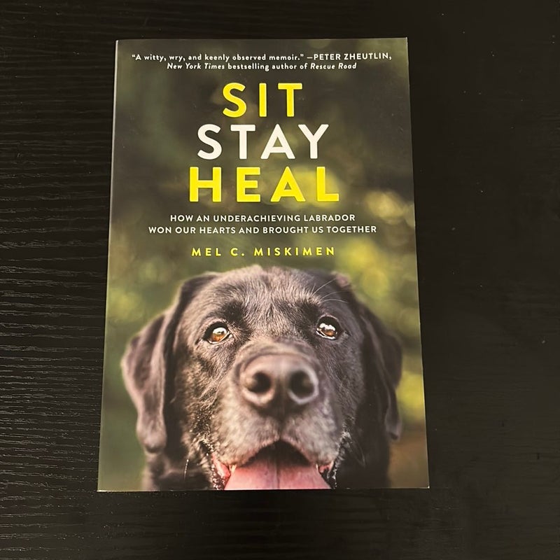 Sit Stay Heal