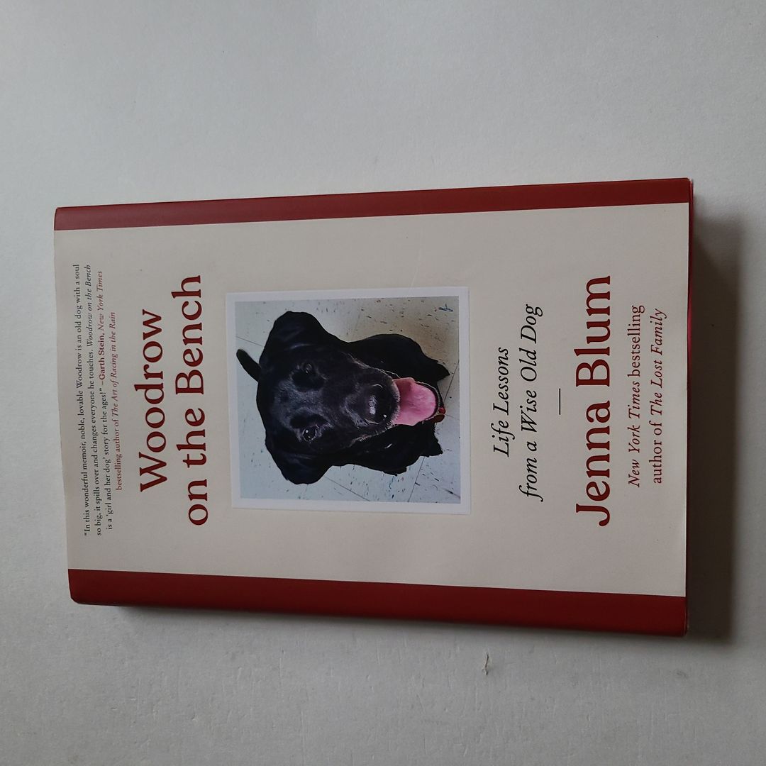 Woodrow on the Bench