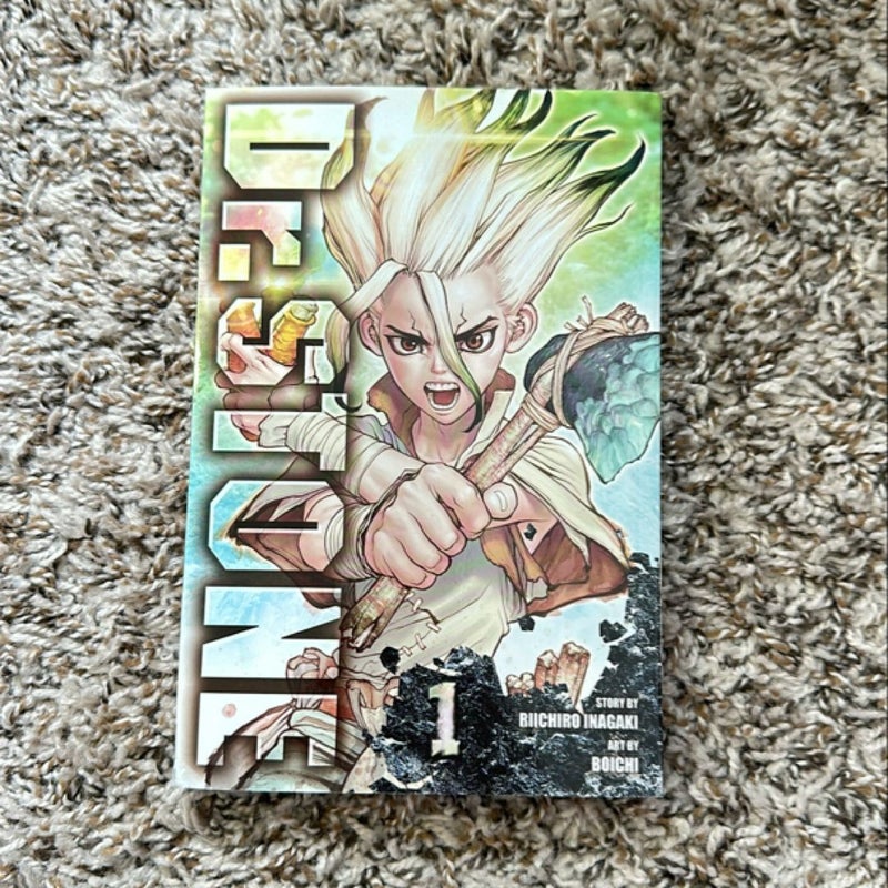 Dr. STONE, Vol. 1