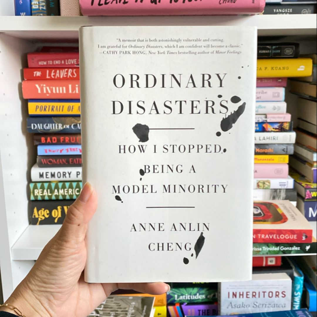 Ordinary Disasters