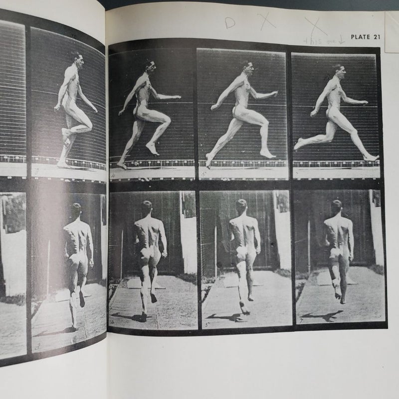 The Human Figure in Motion