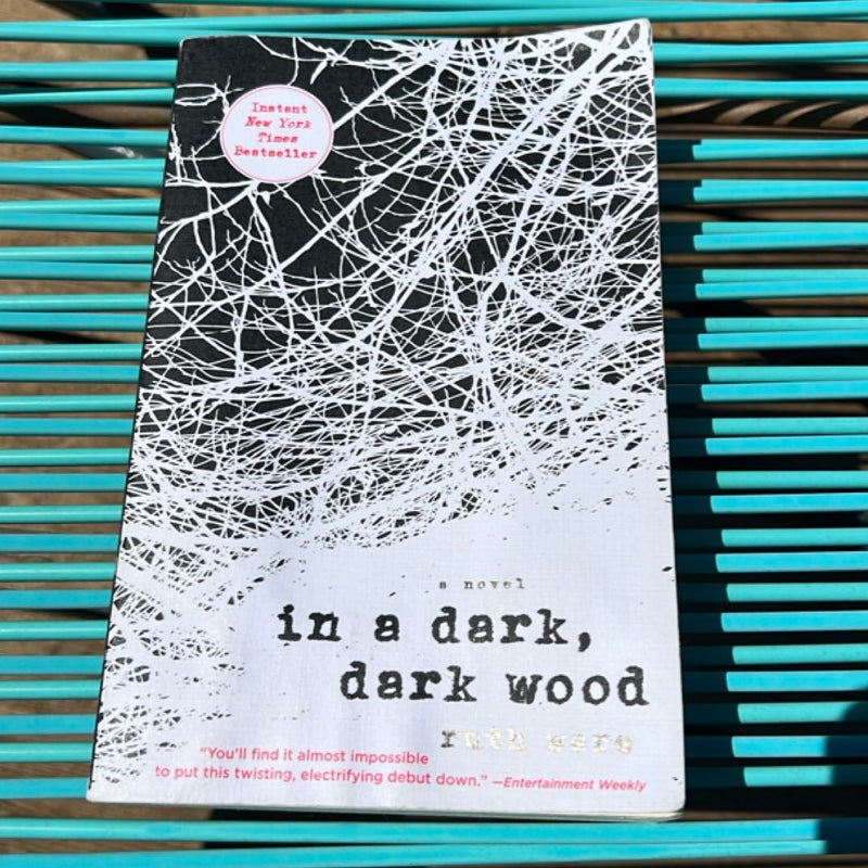 In a Dark, Dark Wood