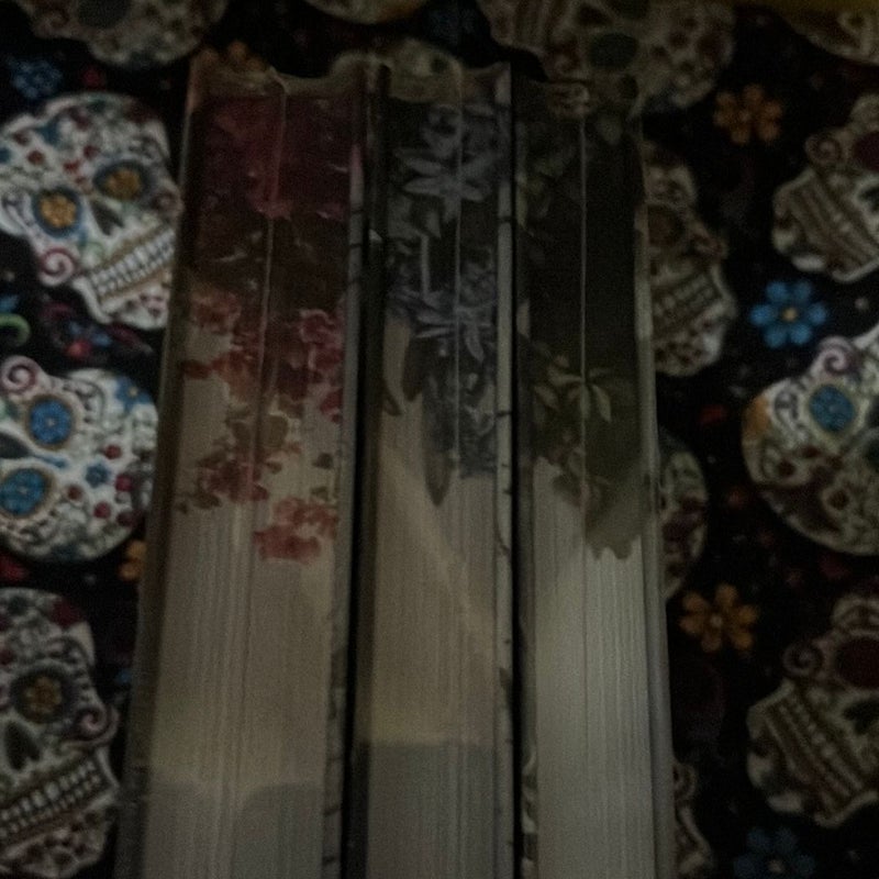 Stonewood Brothers & Tarnished Empires (Dark & Quirky) 
