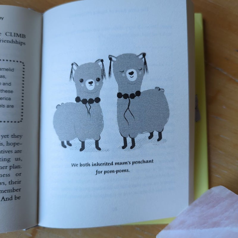 The Little Book of Alpaca Philosophy: a Calmer, Wiser, Fuzzier Way of Life (the Little Animal Philosophy Books)