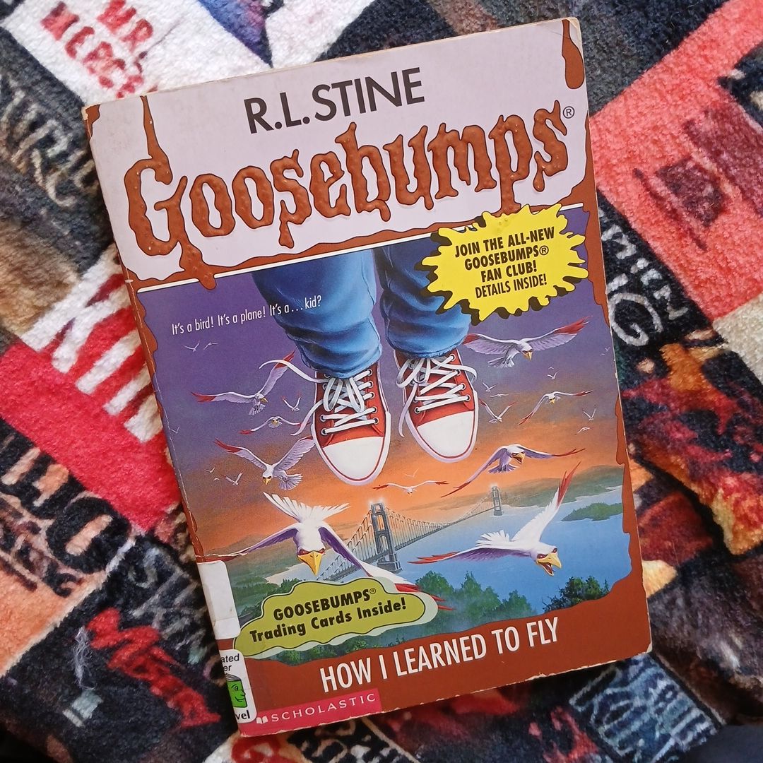 How I Learned to Fly