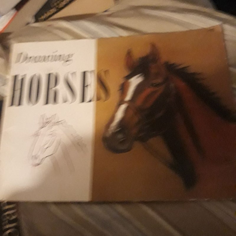 Drawing Horses