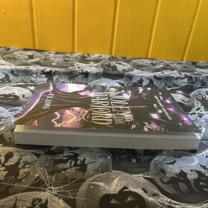 Stolen By The Warlord (Renegade Romance) 