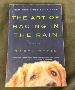 The Art of Racing in the Rain