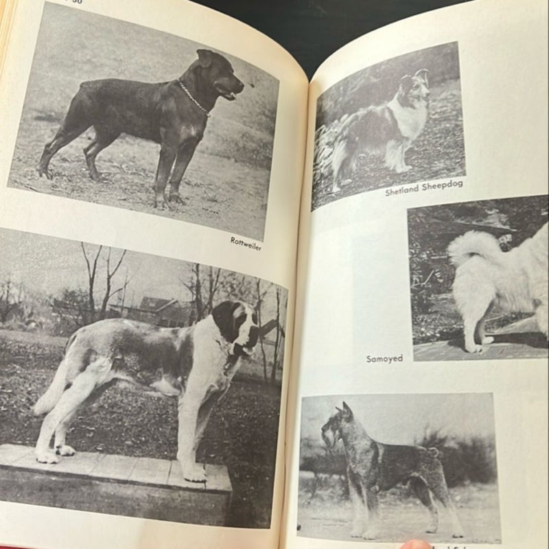 The Complete Dog Book