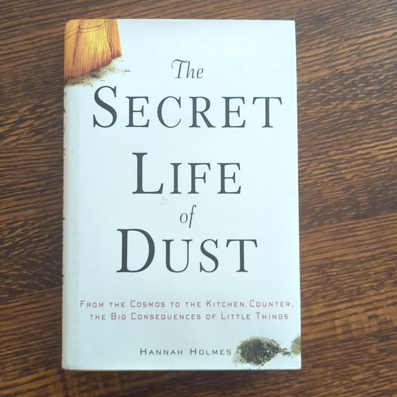 The Secret Life of Dust