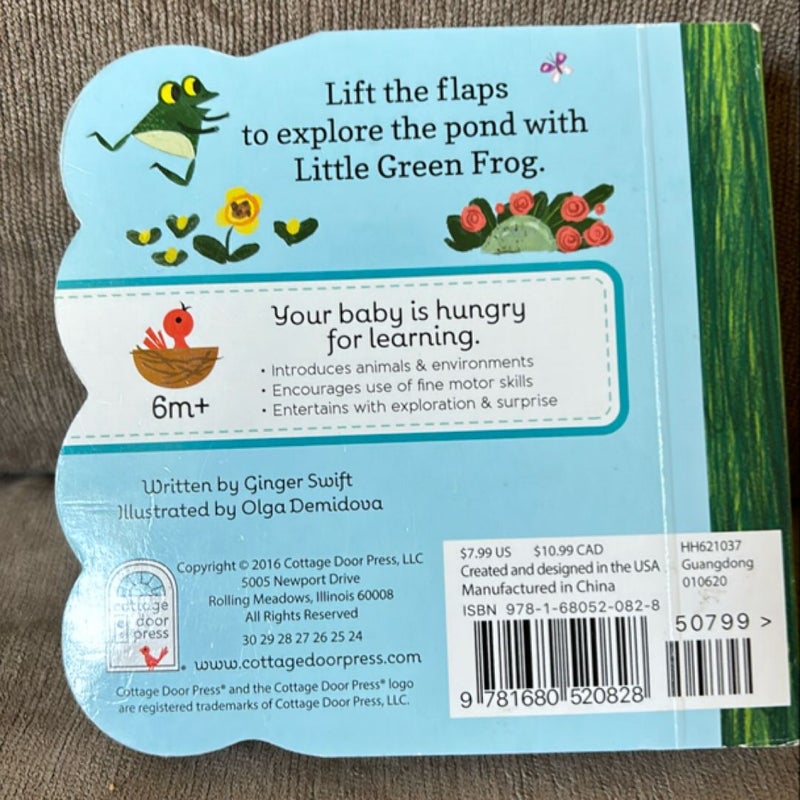 Little Green Frog Flap Boardbook