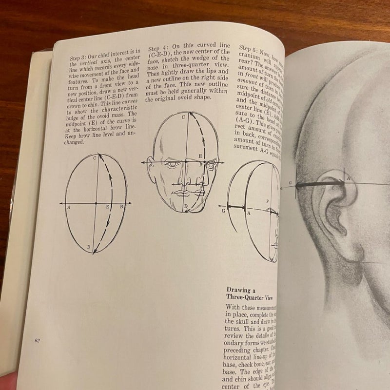 Drawing the Human Head