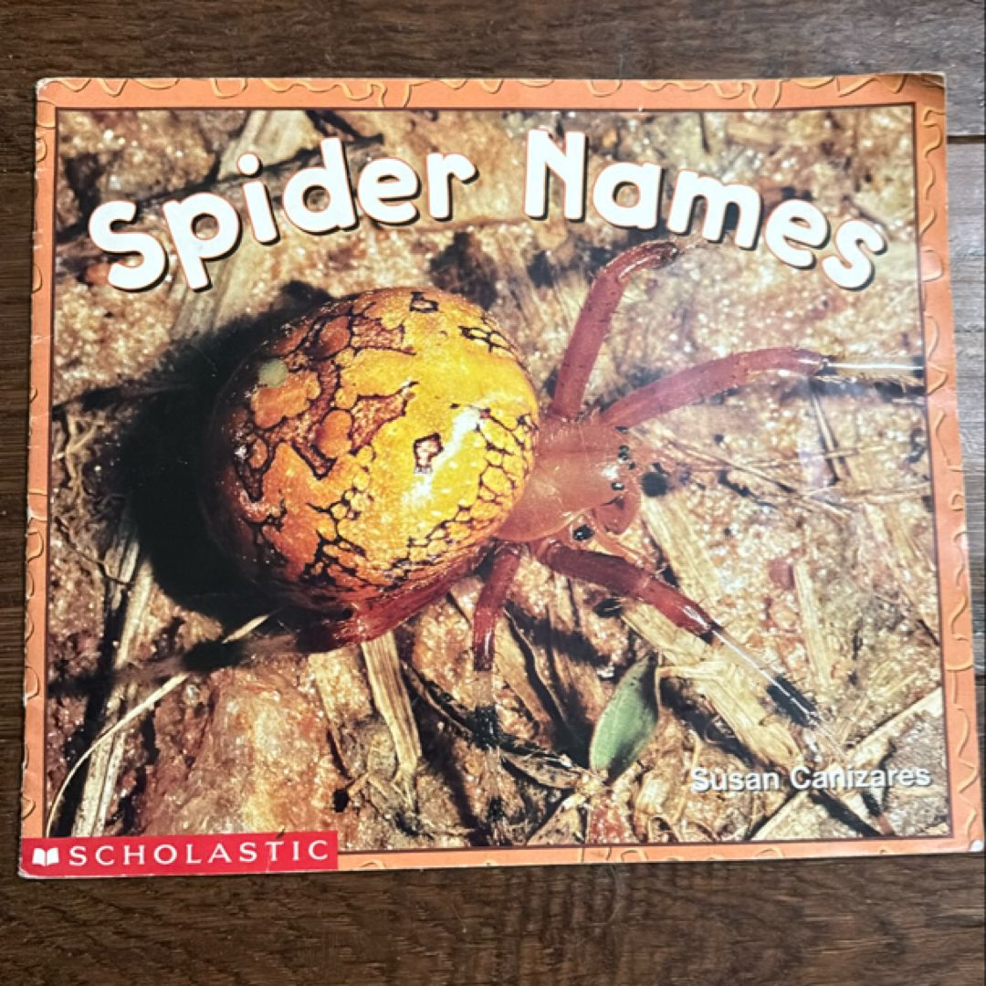 Spider Names by Susan Canizares