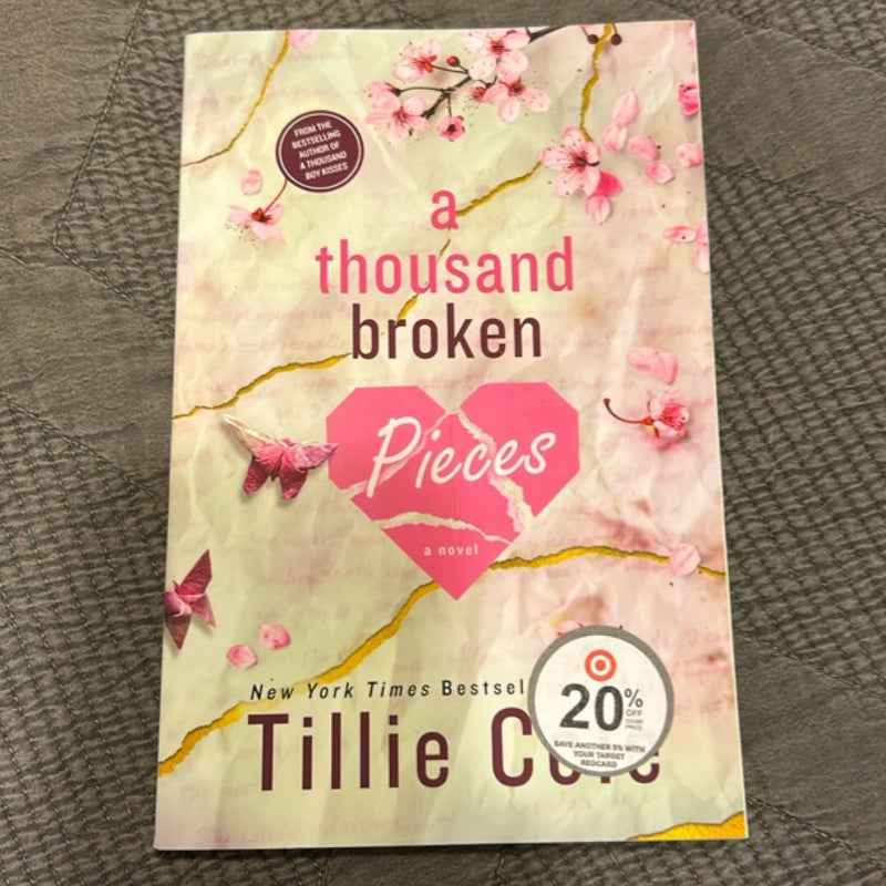 A Thousand Broken Pieces