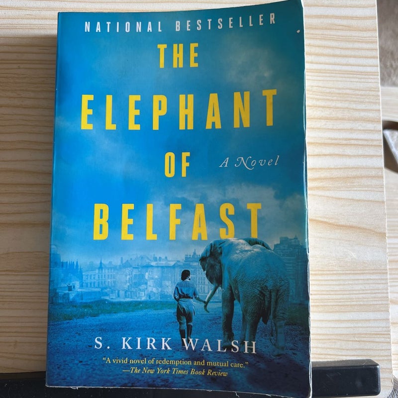 The Elephant of Belfast