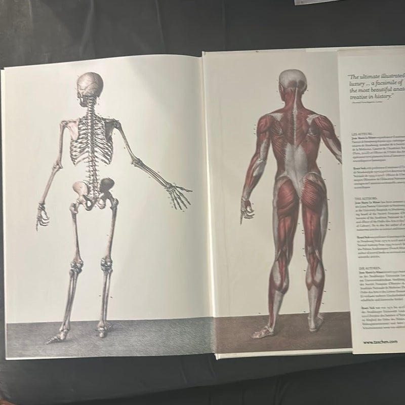 Atlas of Human Anatomy and Surgery Volume 1