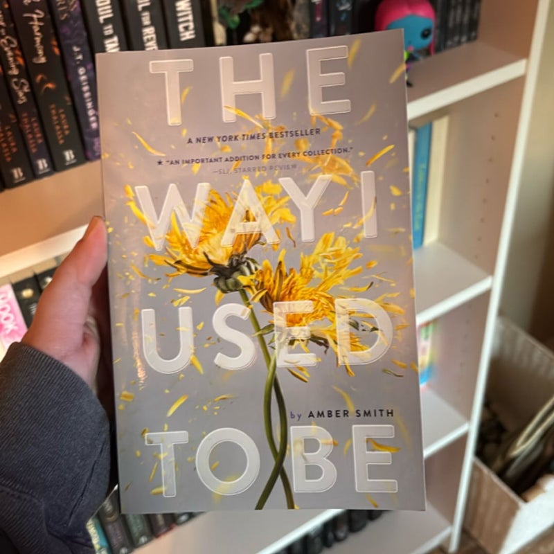 The Way I Used to Be