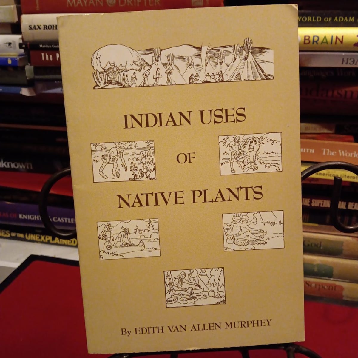 Indian Uses of Native Plants by Edith Van Allen Murphey