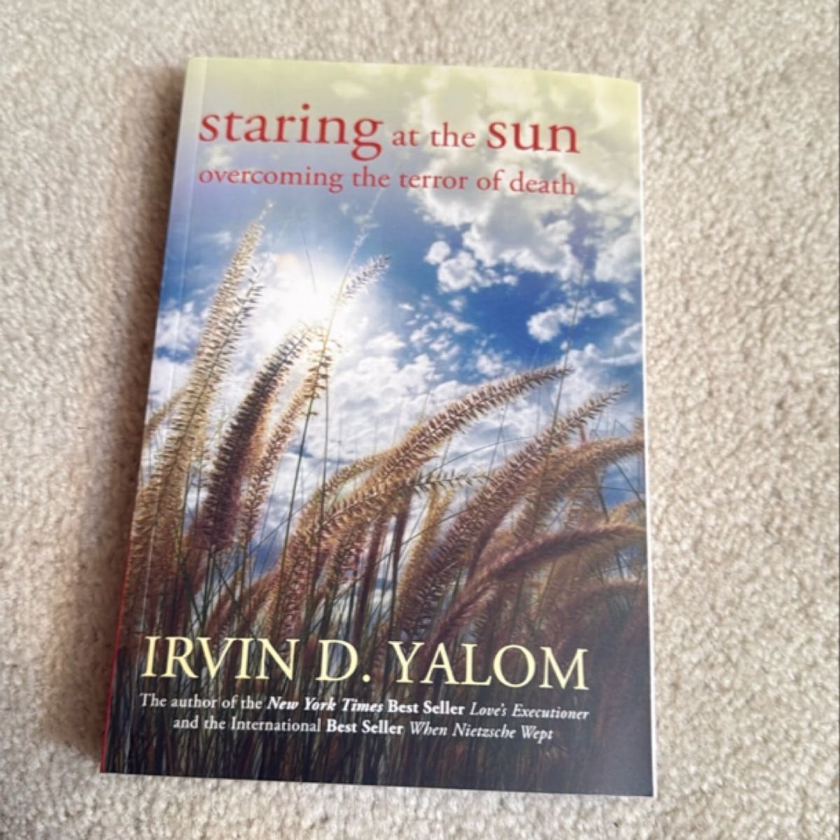 Staring at the Sun by Irvin D. Yalom