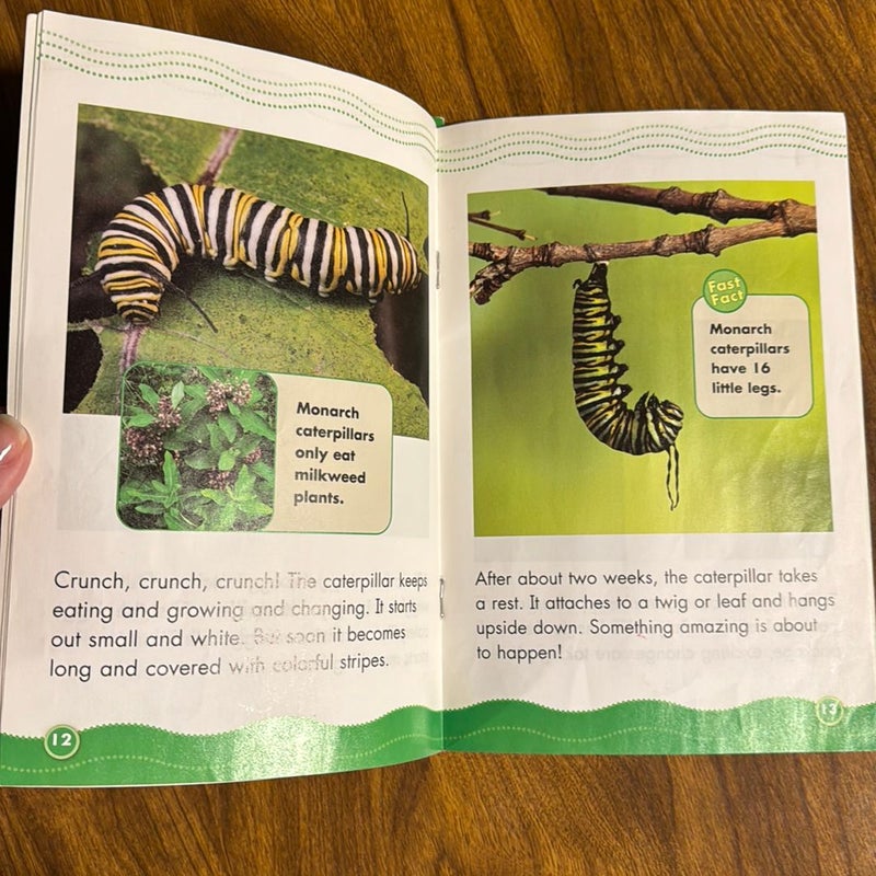 Science Vocabulary Readers; Life Cycles - Butterfly