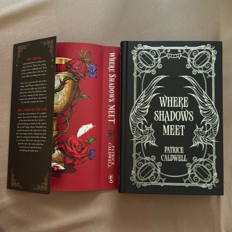 Where Shadows Meet