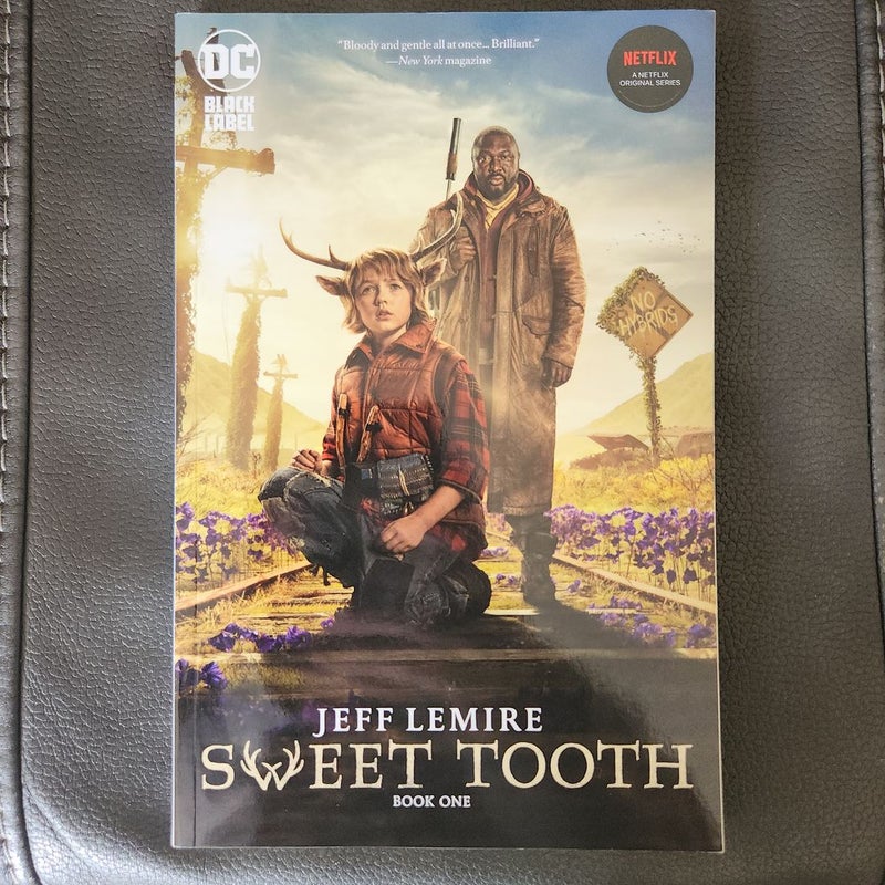 Sweet Tooth Book 1