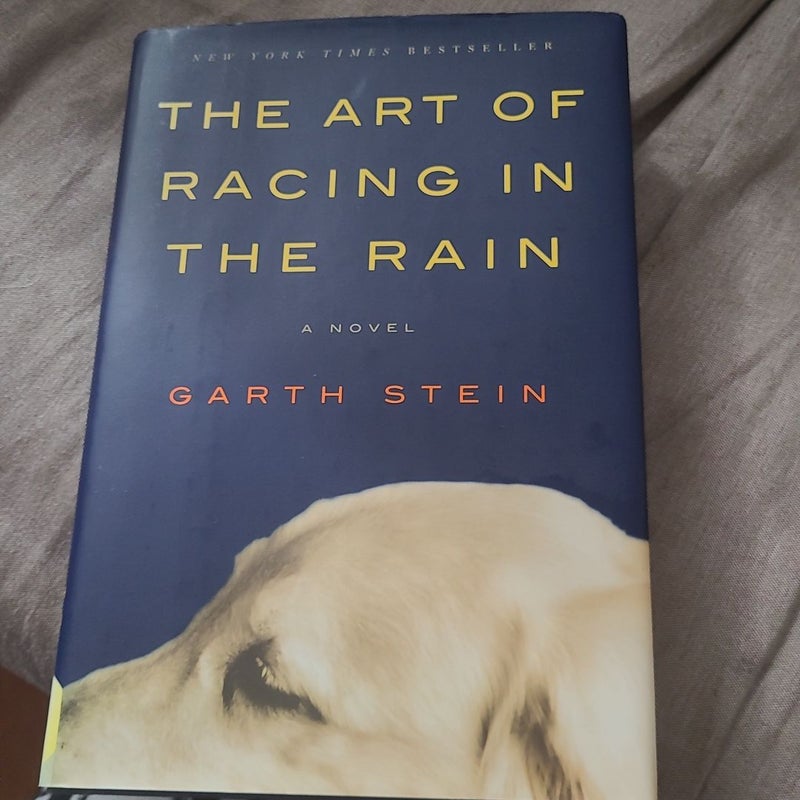 The Art of Racing in the Rain